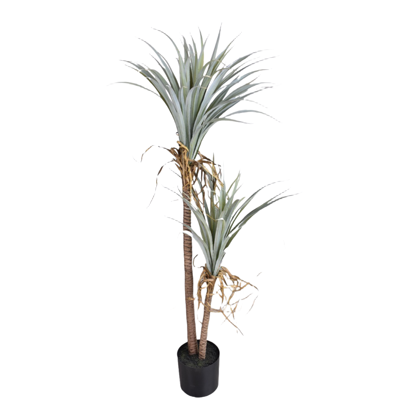 Dragon Blood Yucca Artificial  - огляд і ціна Dracaena Marginata