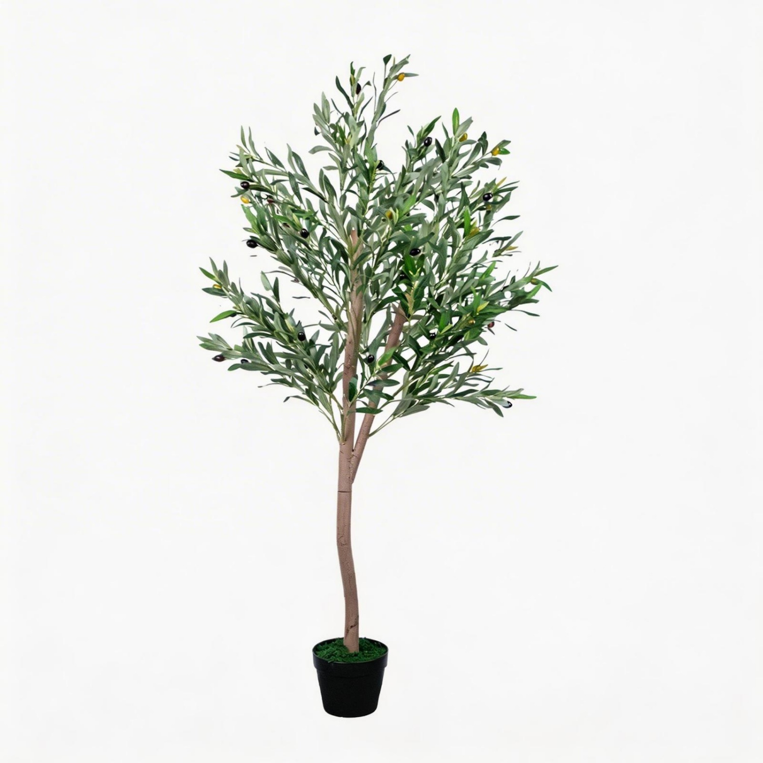 Artificial Olive Tree 5FT, Fau - огляд і ціна Dracaena Marginata