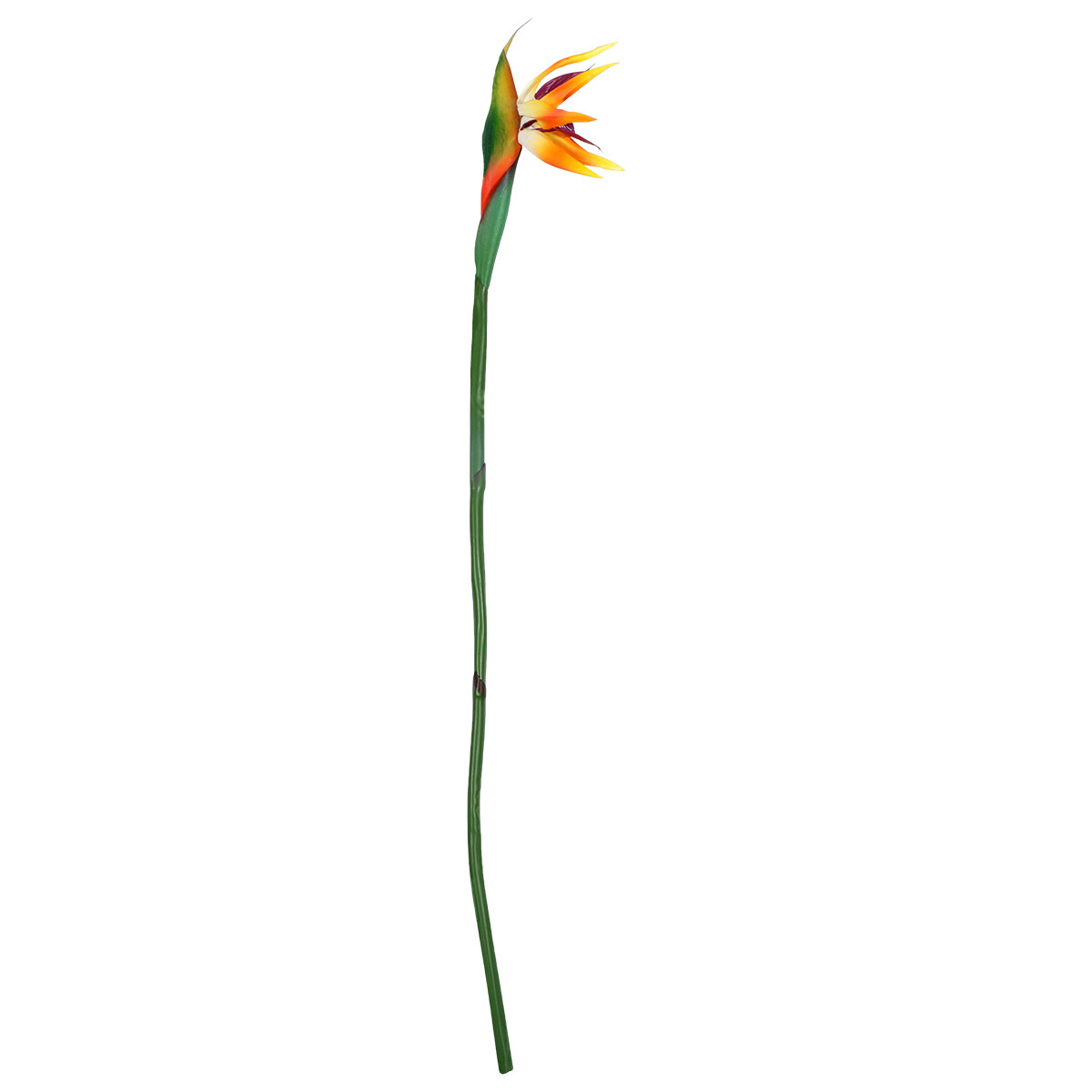 Real Touch Faux Strelitzia Flo - огляд і ціна Bird Paradise Strelitzia