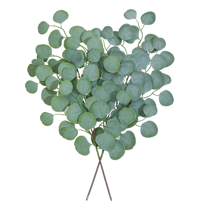 Eucalyptus Leaf Vine Artificia - огляд і ціна Dracaena Marginata