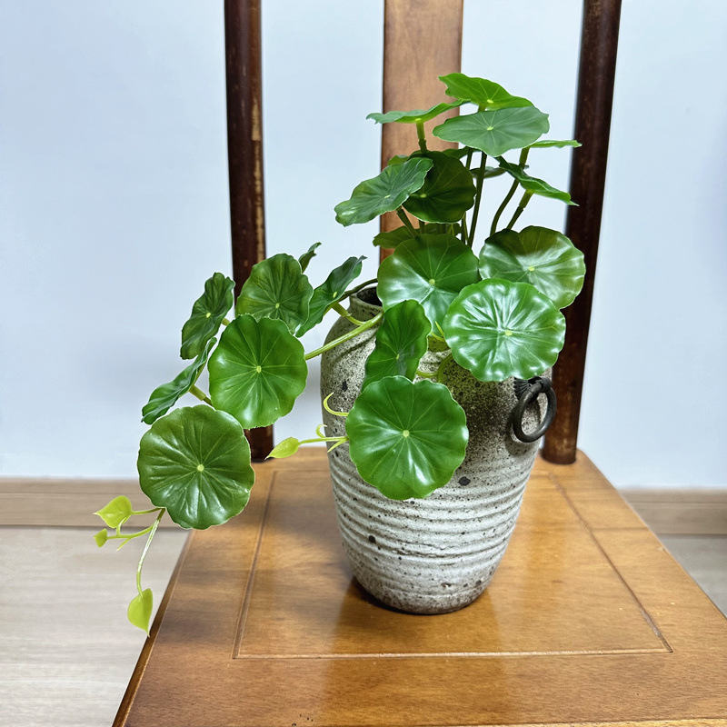2pcs Artificial Pilea Peperomi - огляд і ціна Pilea Peperomioides