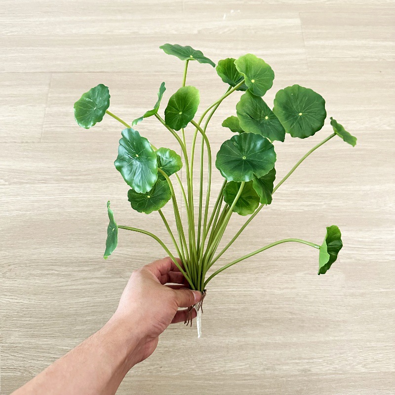 2pcs Artificial Pilea Peperomi - огляд і ціна Pilea Peperomioides