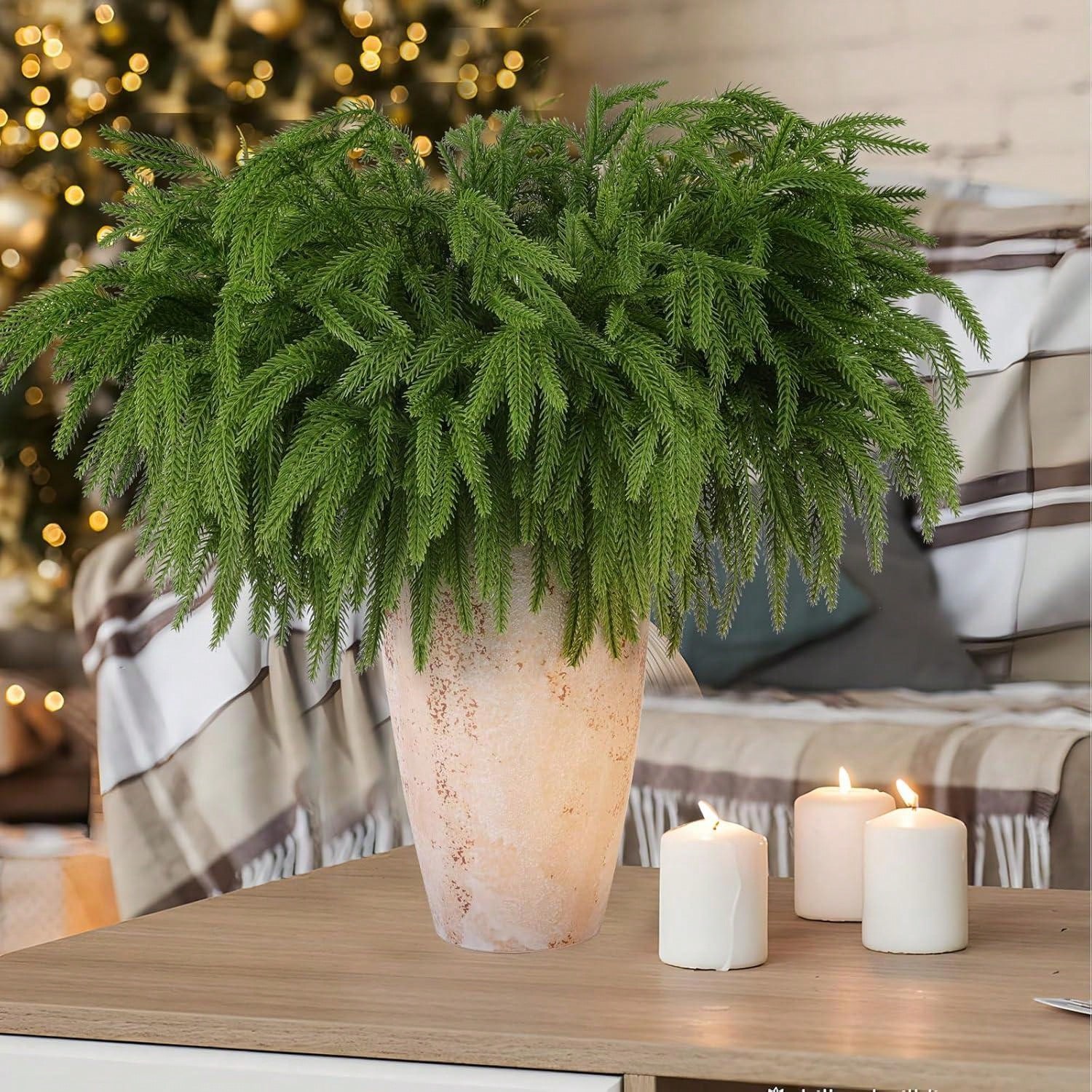 Christmas Norfolk Branches Rea - огляд і ціна Dracaena Marginata