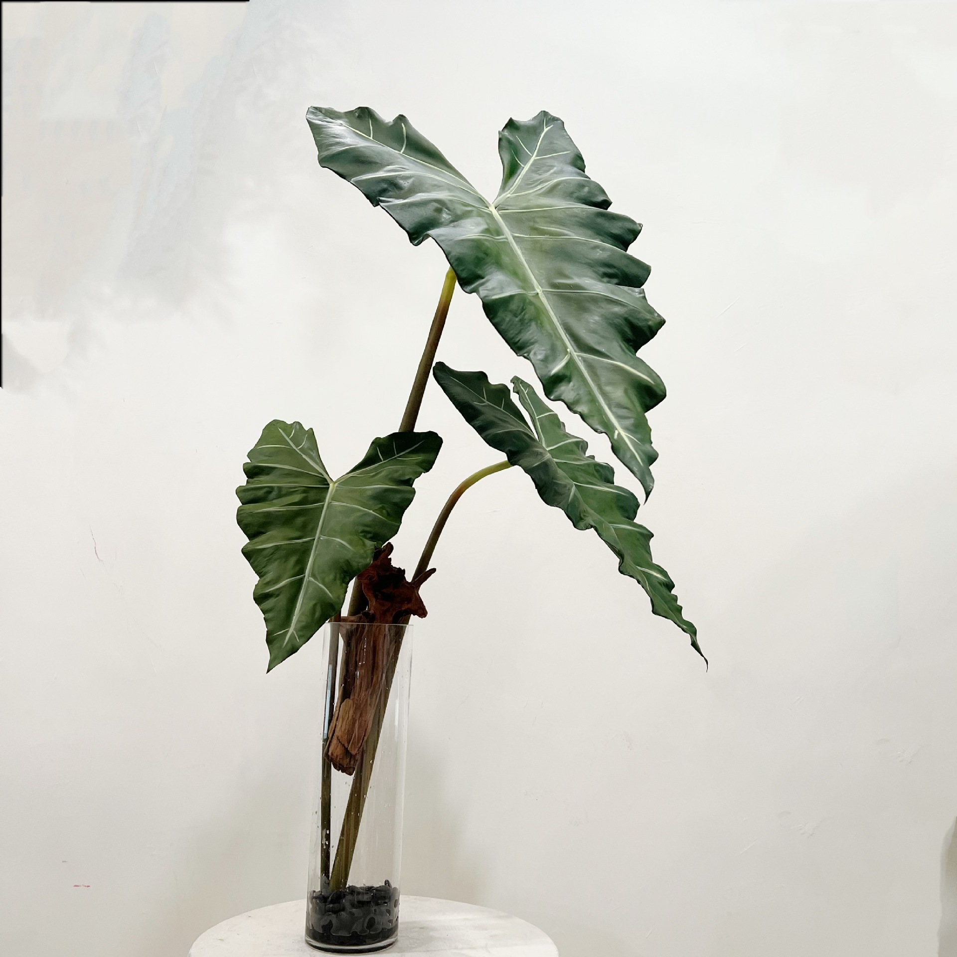 Simulated Long PU Hand-feel Gr - огляд і ціна Monstera Adansonii